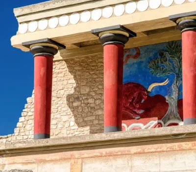 BACKGROUND-03-775x1024 (1)