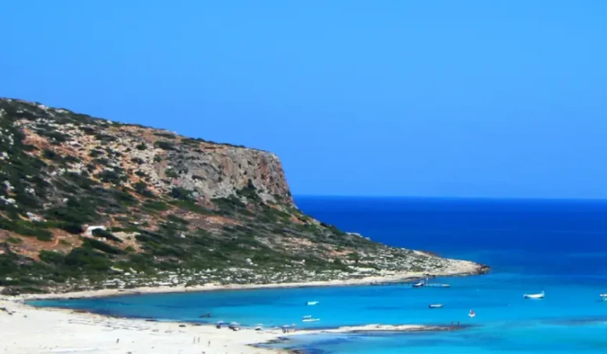 BACKGROUND-05-775x1024 (1)