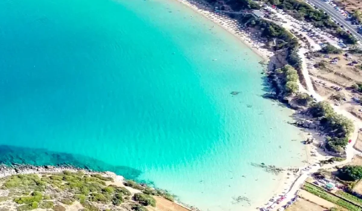 BACKGROUND-06-775x1024 (1)